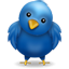 mamaship twitter